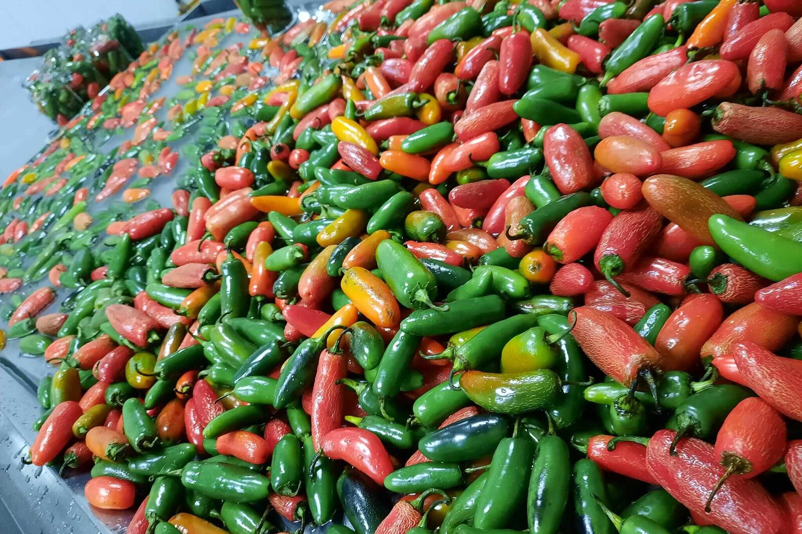 huerta-fresno-nosotros-3-new